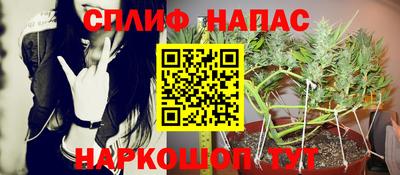 бошки Краснознаменск