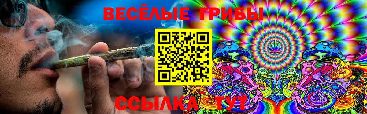 Псилоцибиновые грибы Psilocybe  Вход с VPN  Каменка 