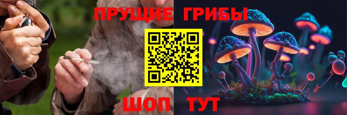 Галлюциногенные грибы Magic Shrooms Каменка